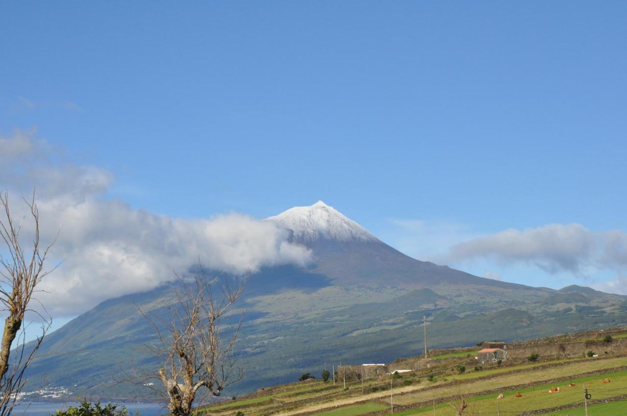 Casa Da Abrotea Villa Lajes do Pico Eksteriør billede