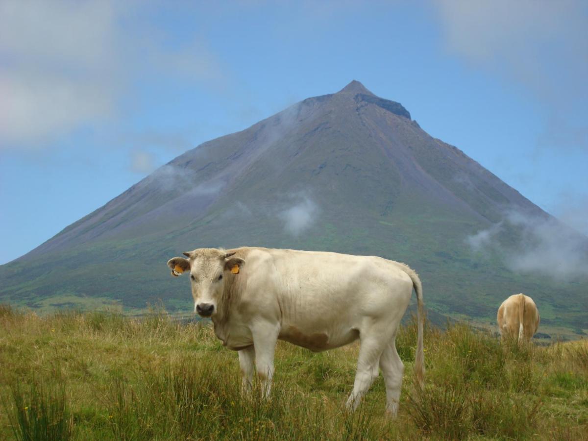 Casa Da Abrotea Villa Lajes do Pico Eksteriør billede