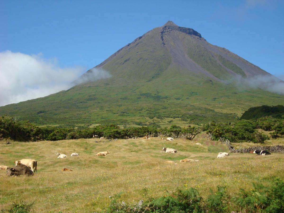 Casa Da Abrotea Villa Lajes do Pico Eksteriør billede